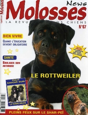 Molosses News 67